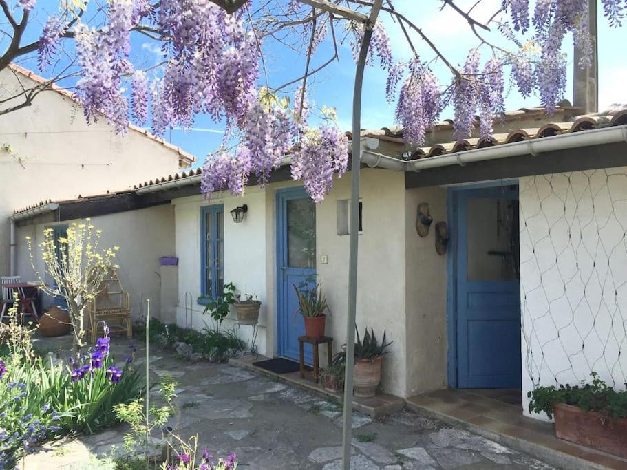 La Campagne Dans La Ville Narbonne Exterior foto